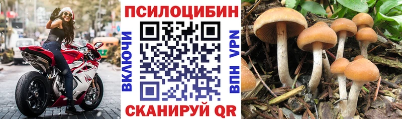 Галлюциногенные грибы MAGIC MUSHROOMS  Арамиль 
